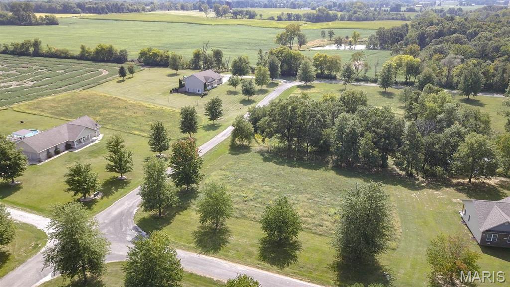 0 Springman Lane Brighton, IL 62012 - Photo 4 of 5