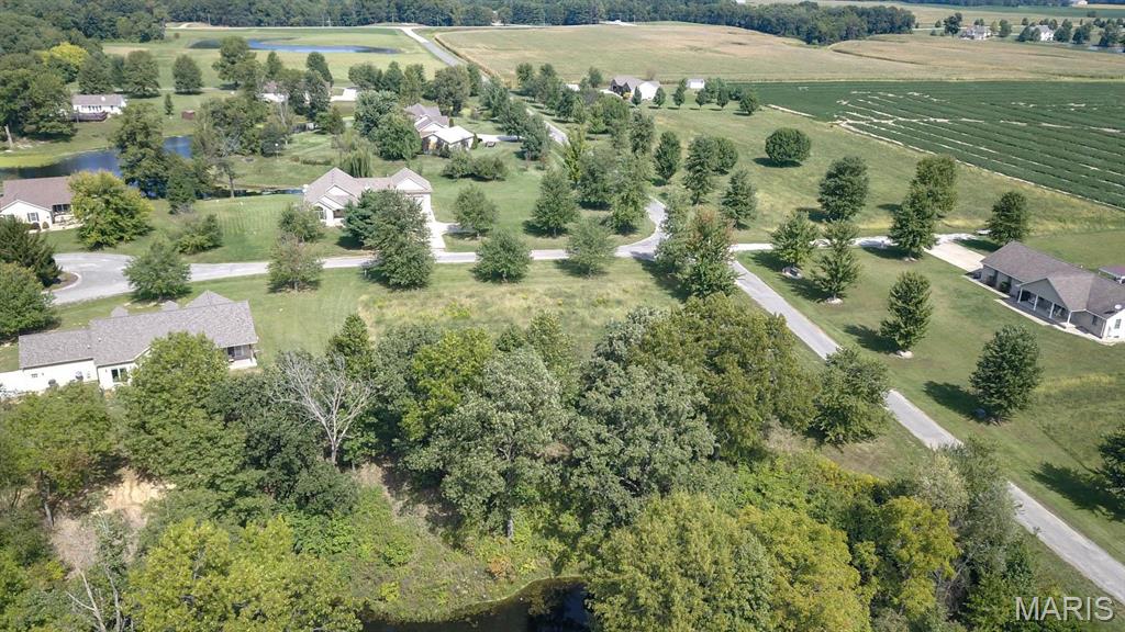 0 Springman Lane Brighton, IL 62012 - Photo 5 of 5