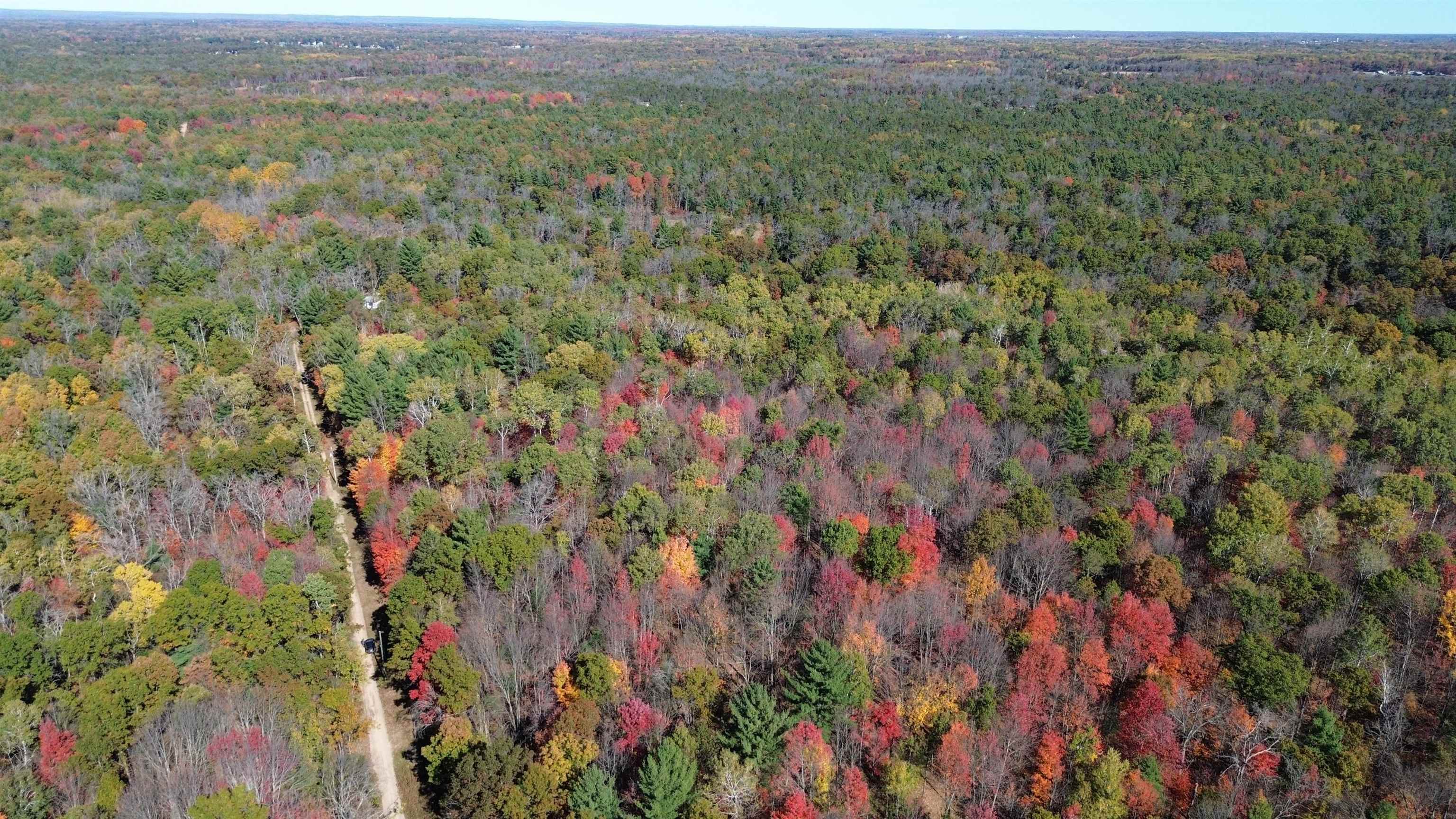 0 Timber Trail Prescott, MI 48756 - Photo 7 of 44