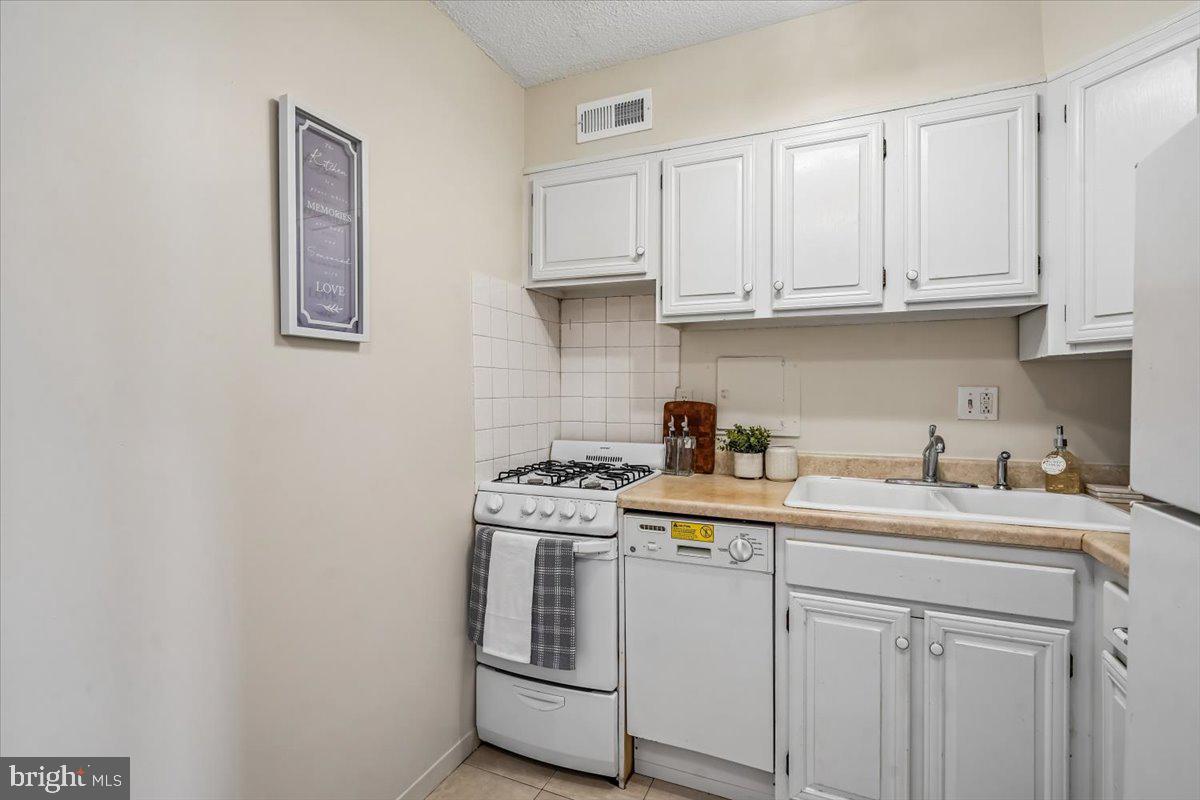 1250 4th Street Southwest, Unit W113 Washington, DC 20024 - Photo 24 of 70 v2 kitchen
