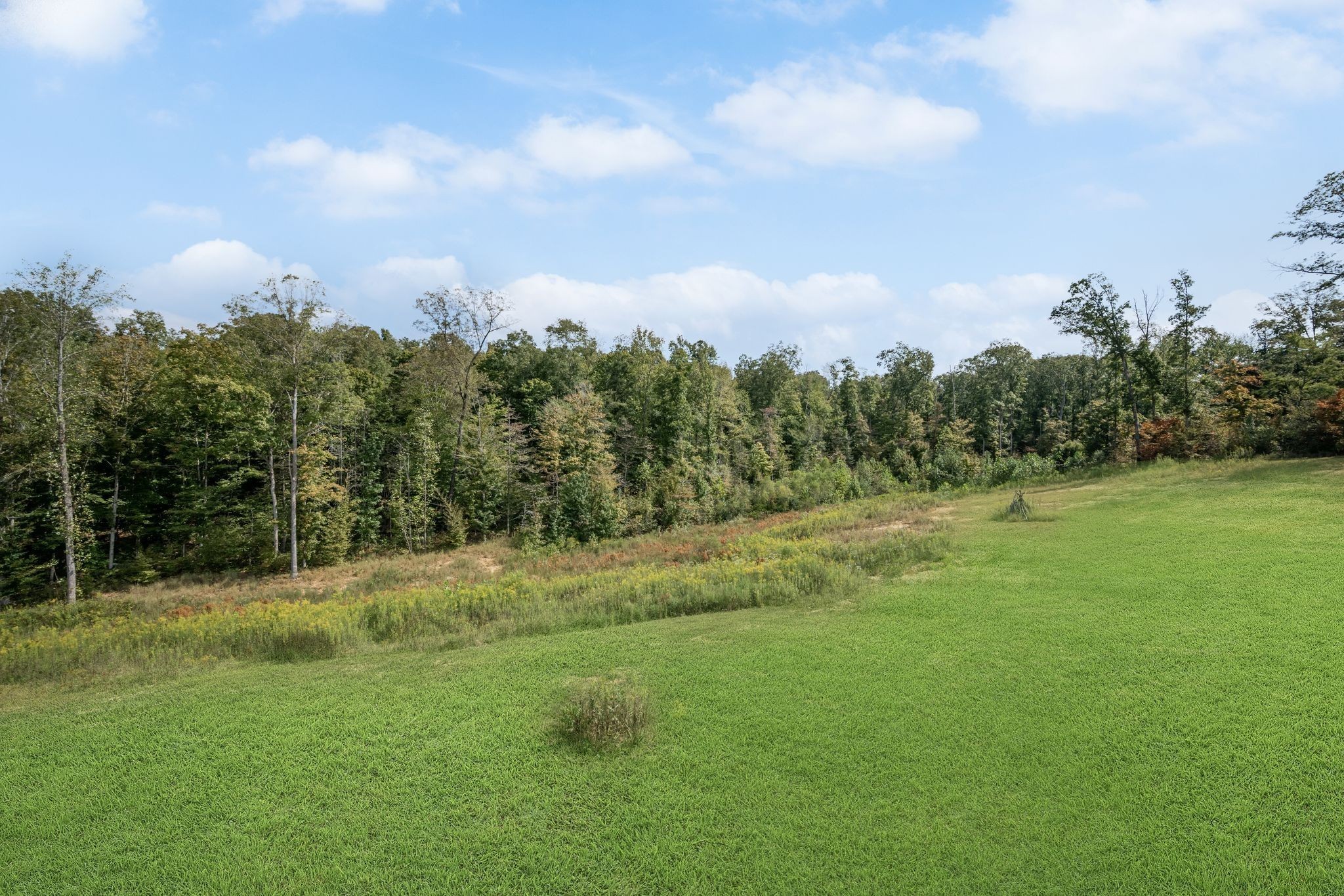 298 Langford Road Waverly, TN 37185 - Photo 40 of 53 a view of a field with trees in the background