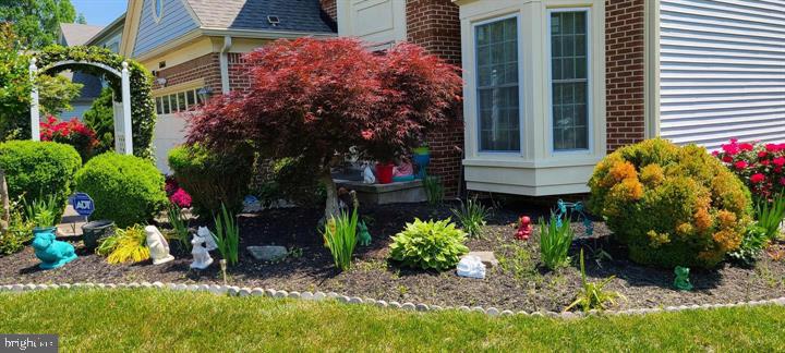 11601 Lighthouse Drive Laurel, MD 20708 - Photo 3 of 21 Lush garden with vibrant greenery.