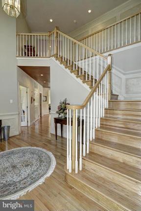 2101 Link Road Silver Spring, MD 20905 - Photo 2 of 30 a view of entryway livingroom and hall
