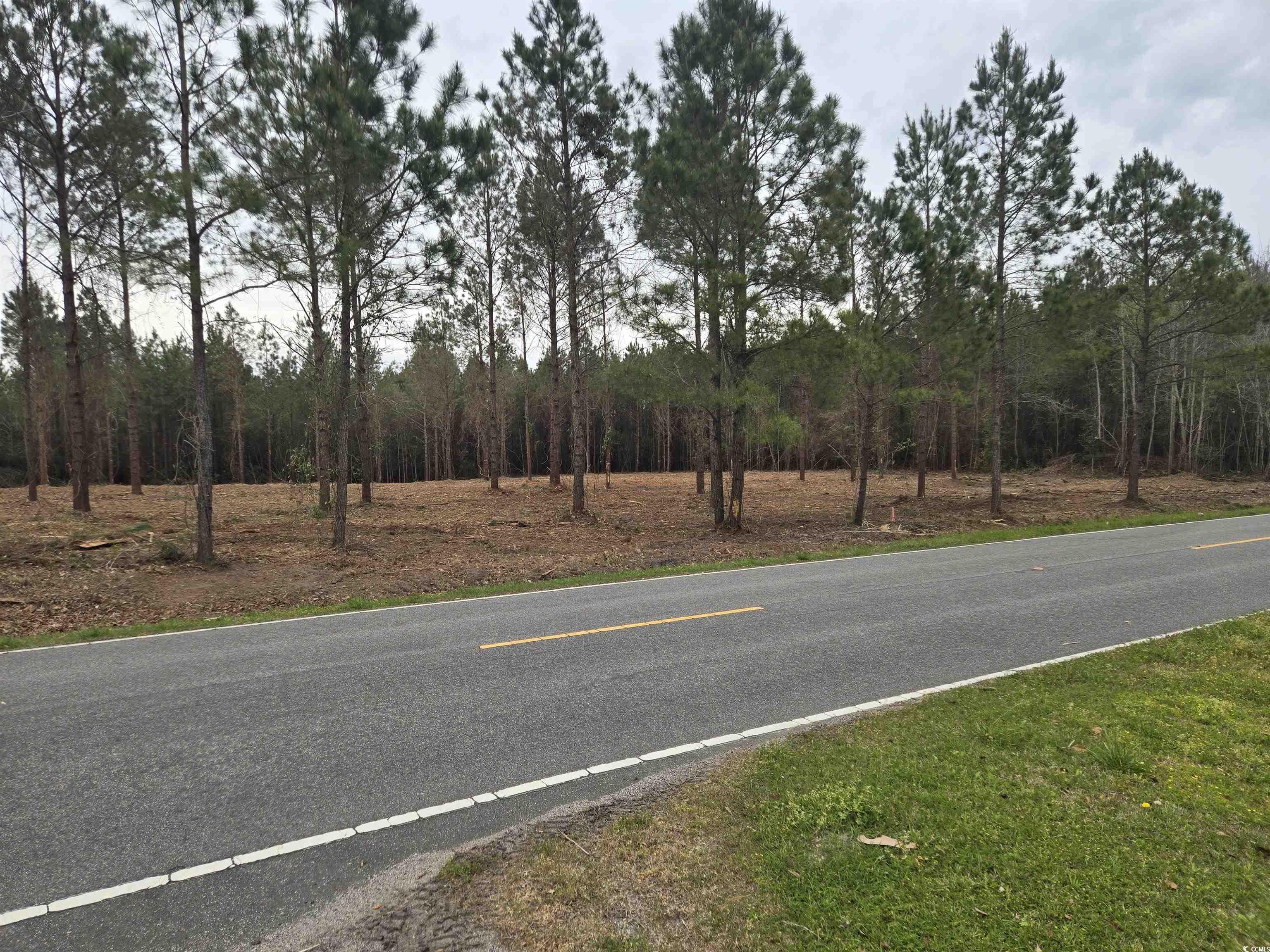 Tbd Oak Dale Road Loris, SC 29569 - Photo 2 of 5 View of road