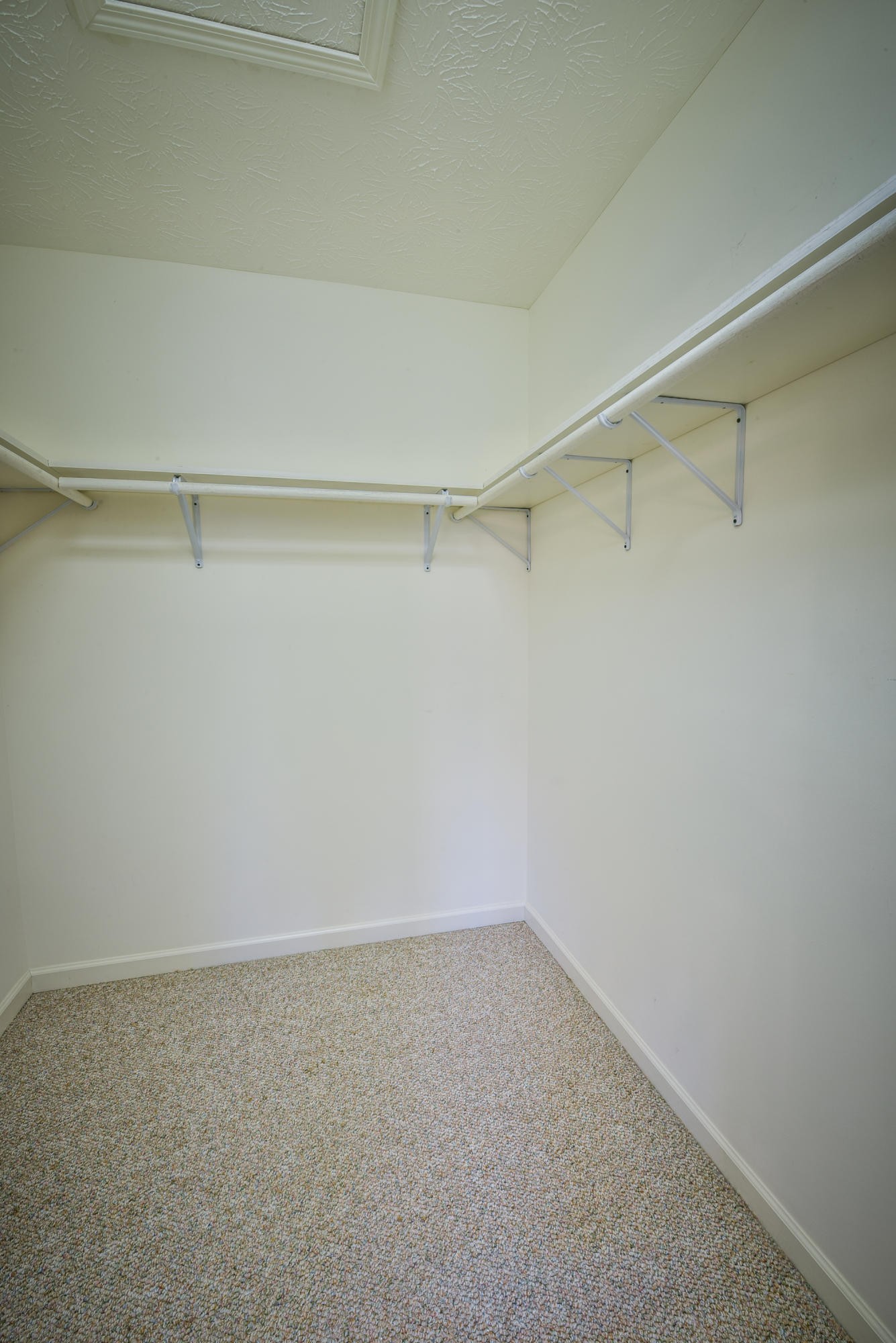 1120 Autumn Breeze Road Newport, TN 37821 - Photo 20 of 38 a view of an empty walk in closet