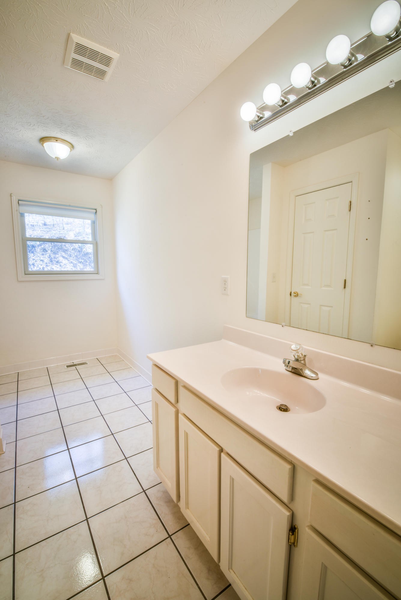 1120 Autumn Breeze Road Newport, TN 37821 - Photo 28 of 38 a bathroom with a sink vanity and a mirror