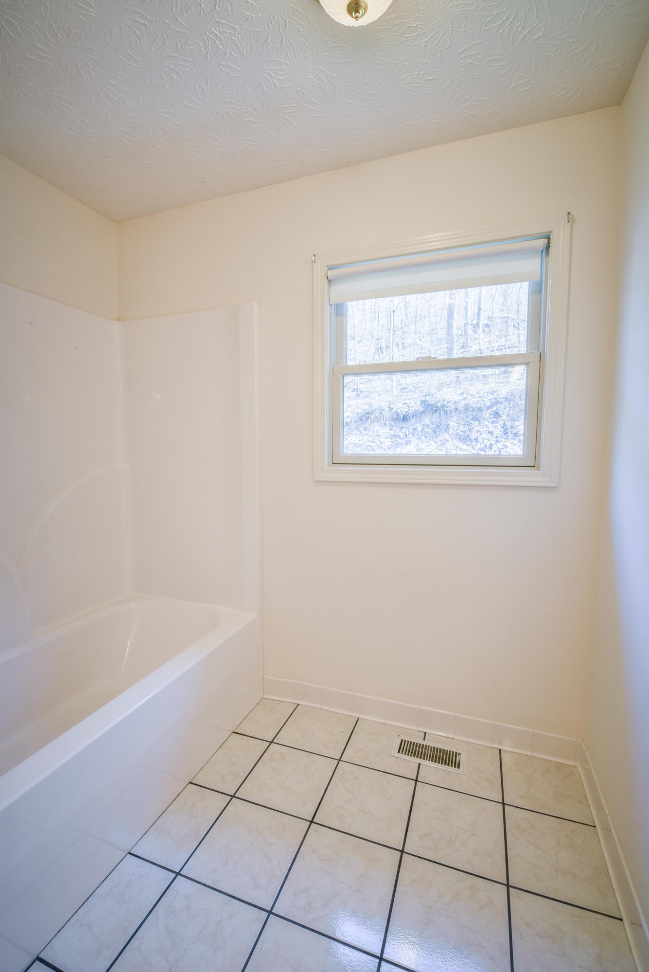 1120 Autumn Breeze Road Newport, TN 37821 - Photo 29 of 38 a bathroom with a bathtub and next to a window