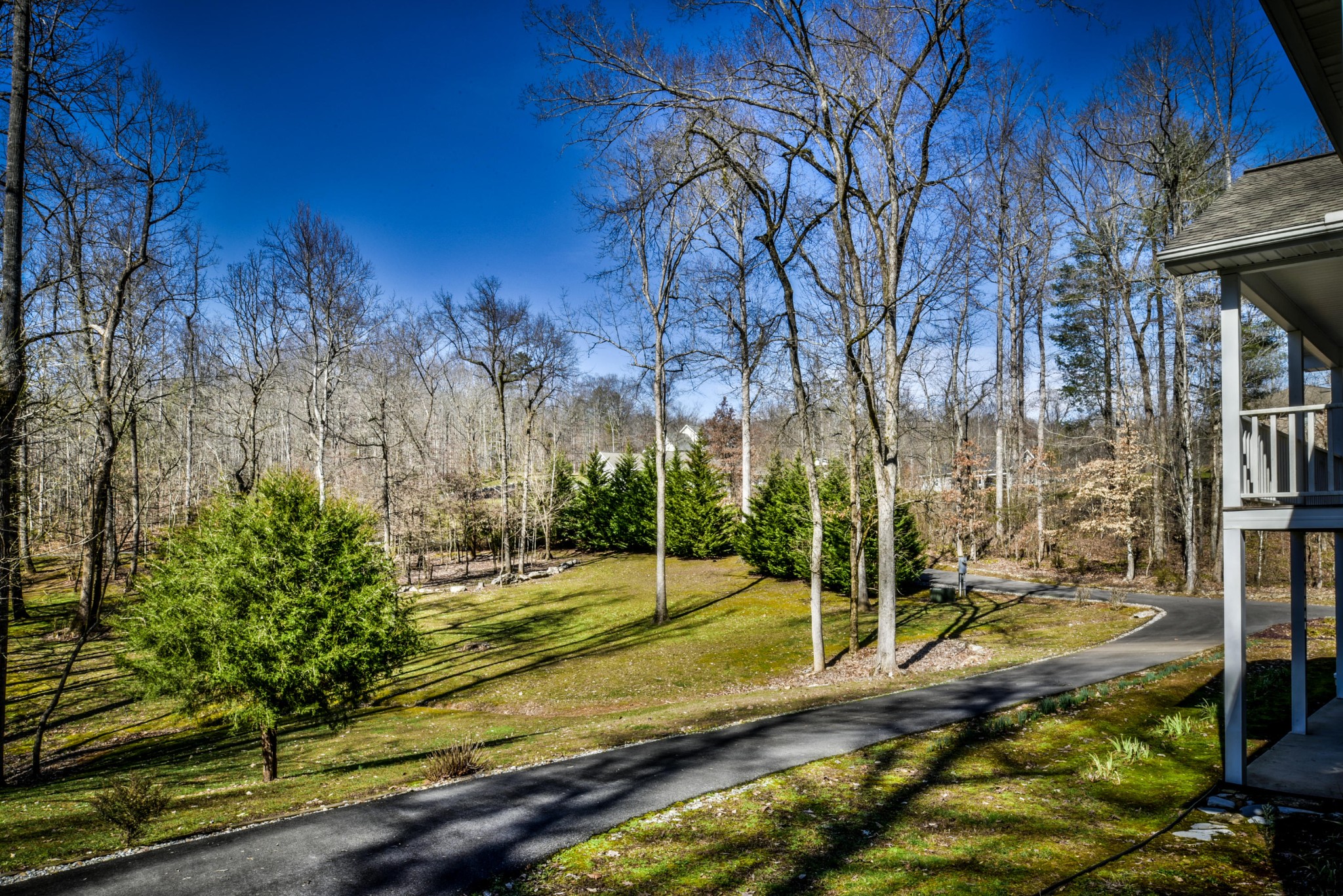 1120 Autumn Breeze Road Newport, TN 37821 - Photo 5 of 38 a view of a park with large trees