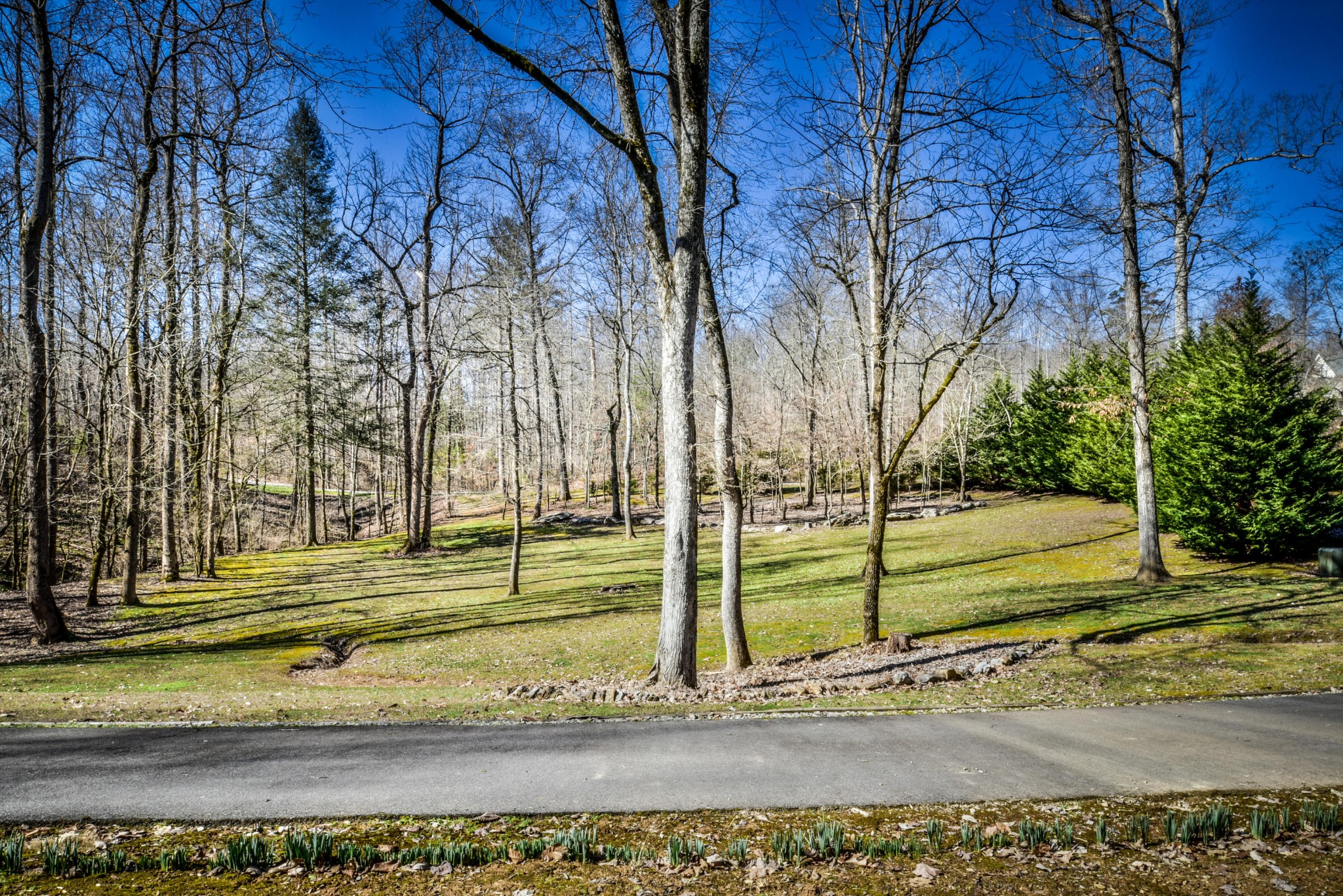 1120 Autumn Breeze Road Newport, TN 37821 - Photo 6 of 38 a view of a yard in front of a house
