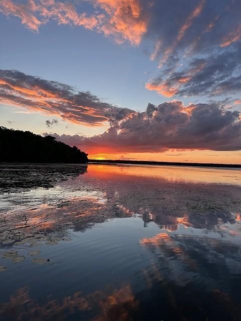 44308 Idas Road Osage, MN 56570 - Photo 16 of 18