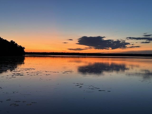 44308 Idas Road Osage, MN 56570 - Photo 2 of 18