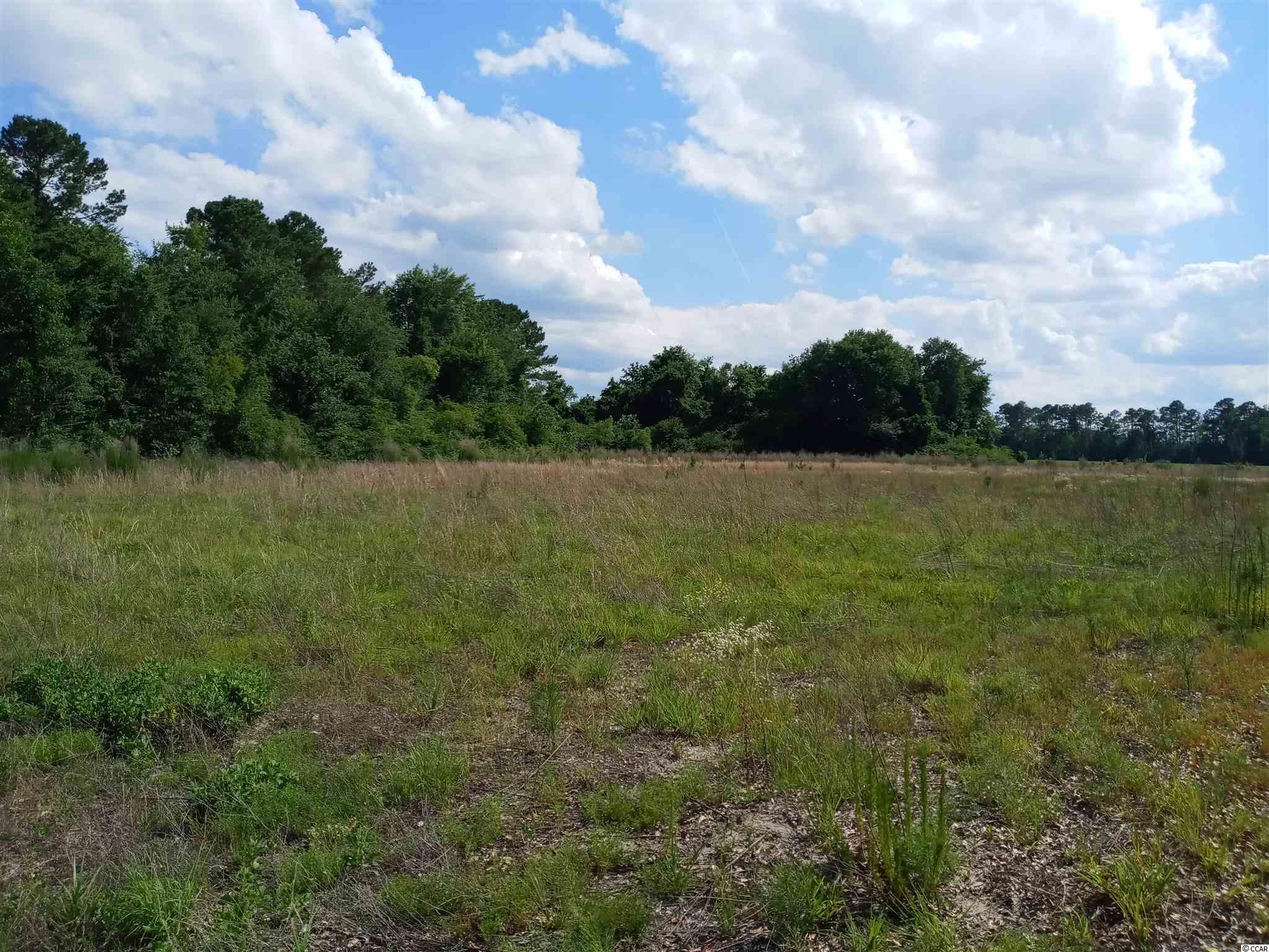 0 Three Curve Road Loris, SC 29569 - Photo 1 of 11 Gallery Image 1