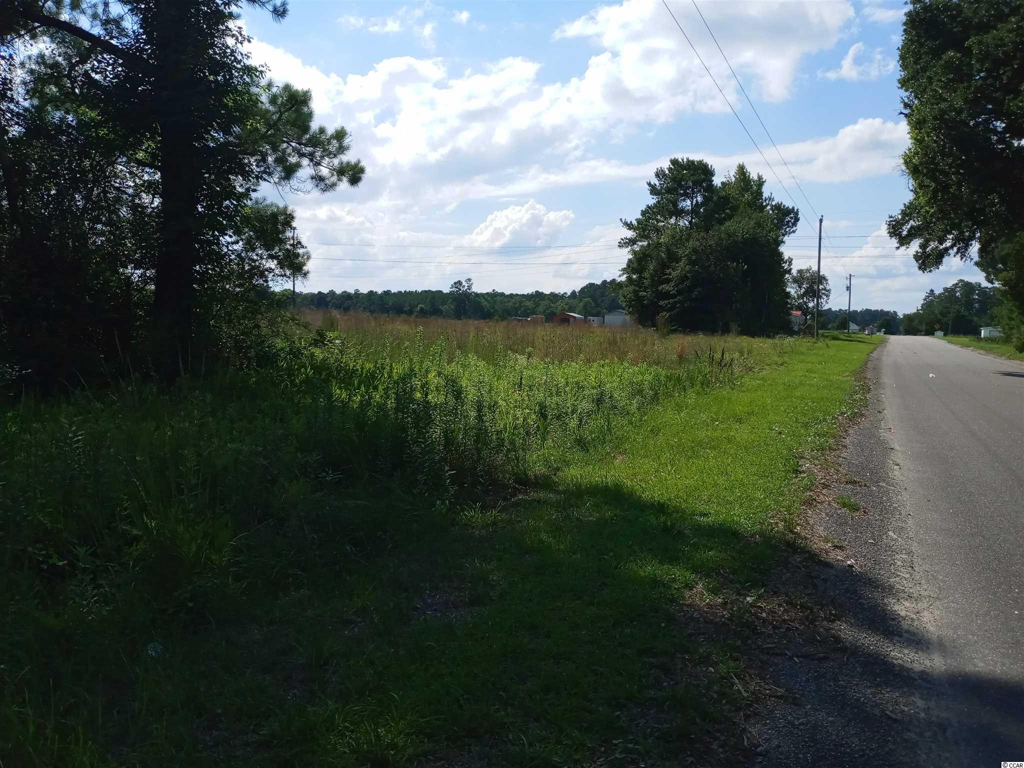 0 Three Curve Road Loris, SC 29569 - Photo 3 of 11 Gallery Image 3