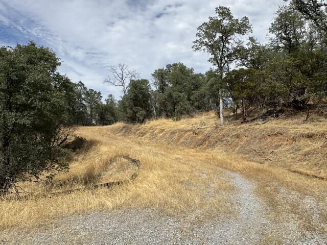 17205 Rising Ridge Lane Cottonwood, CA 96022 - Photo 14 of 25 IMG_0955
