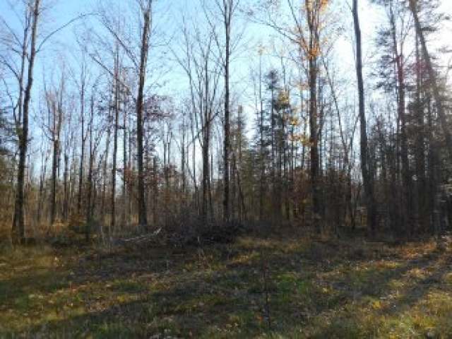 On Straveler Road Brantwood, WI 54513 - Photo 11 of 15 Gallery Image 11