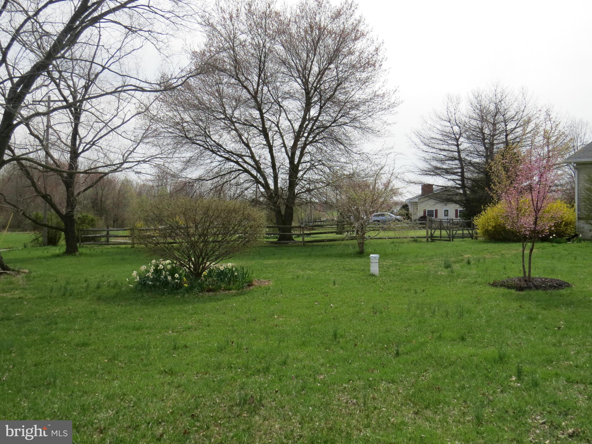 310 England Creamery Road North East, MD 21901 - Photo 14 of 14 Great backyard!