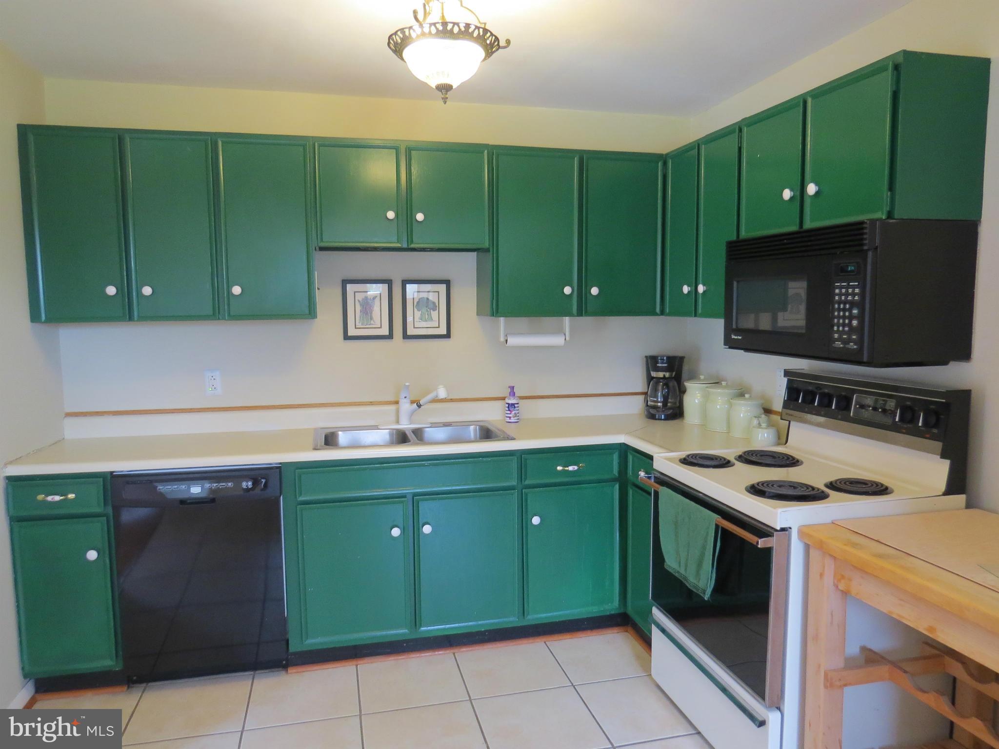310 England Creamery Road North East, MD 21901 - Photo 5 of 14 Kitchen with painted cabinets
