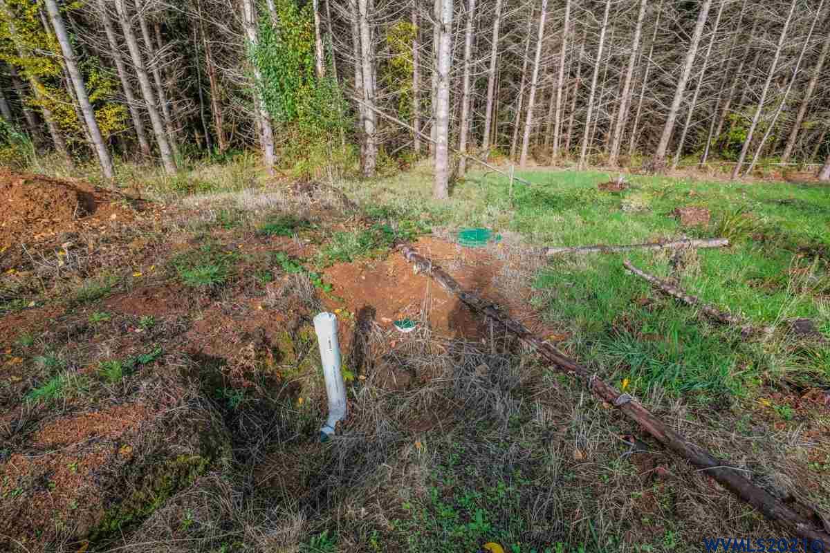 Meridian (ta 392239) Road Lebanon, OR 97355 - Photo 22 of 32
