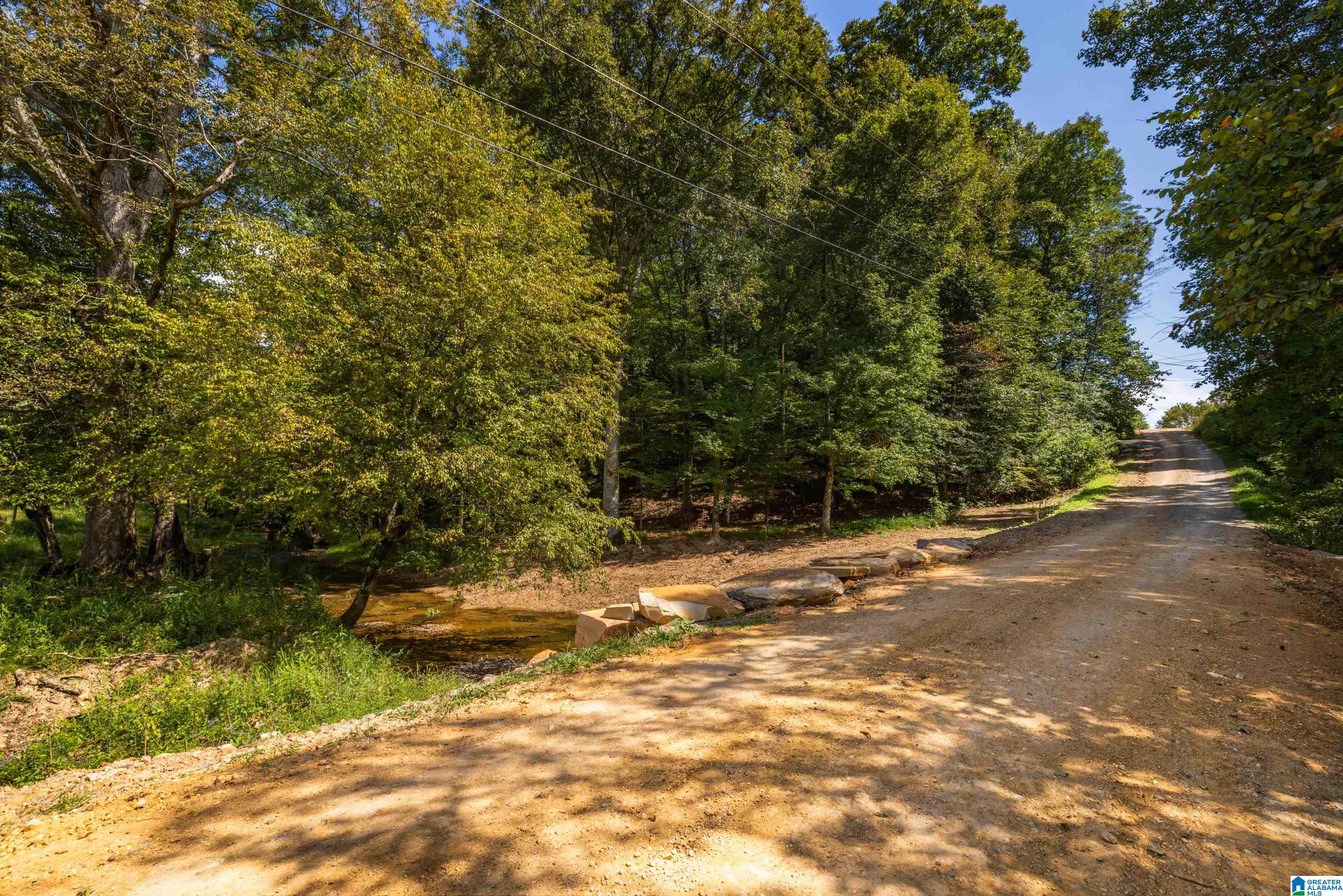 3124 County Road 39 Oneonta, AL 35121 - Photo 84 of 98