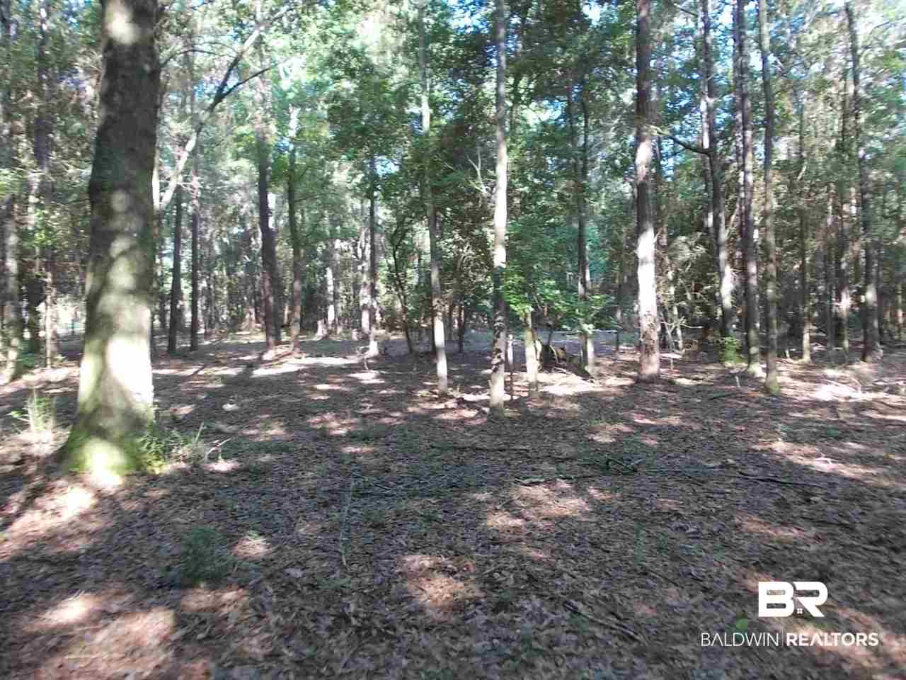 0 Ernest Patterson Road Robertsdale, AL 36567 - Photo 11 of 14