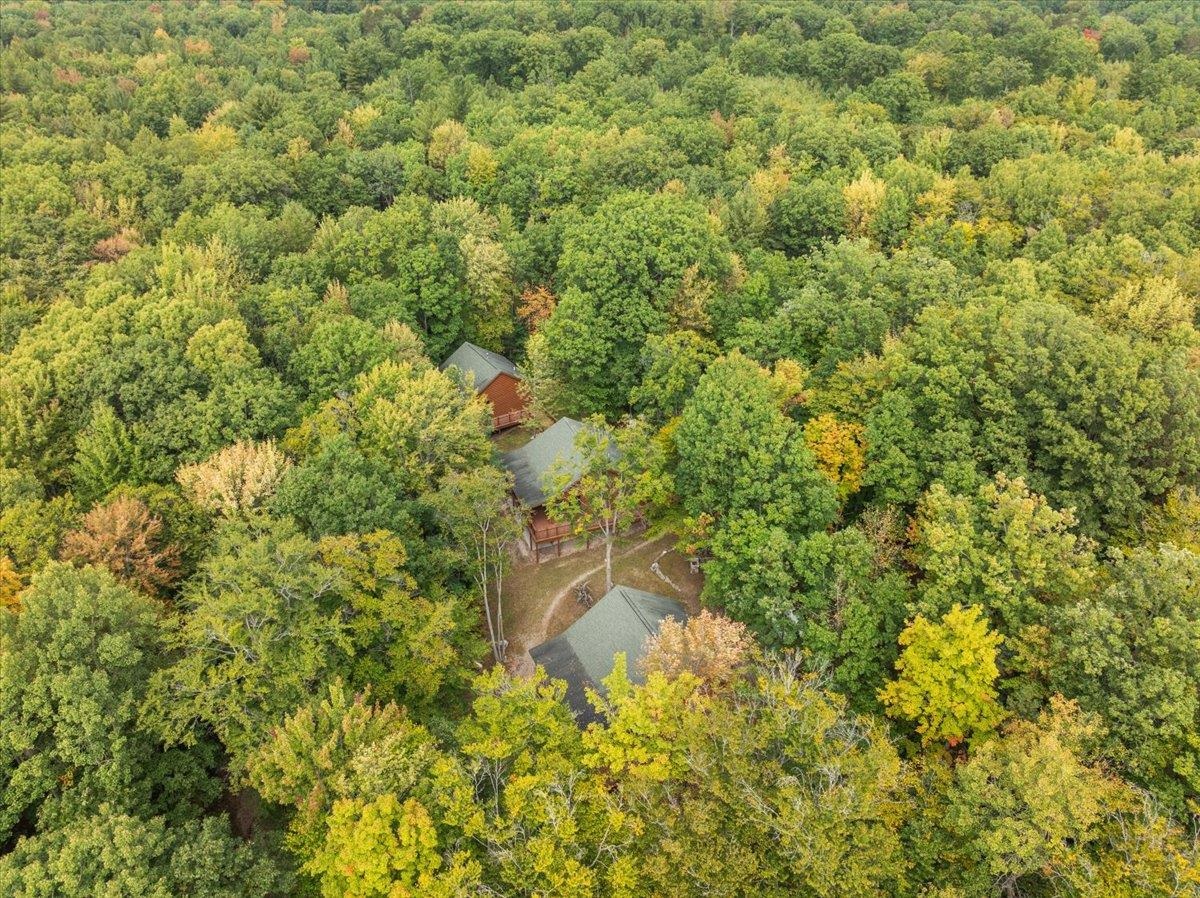 3943 North Skookum Road Luther, MI 49656 - Photo 63 of 67