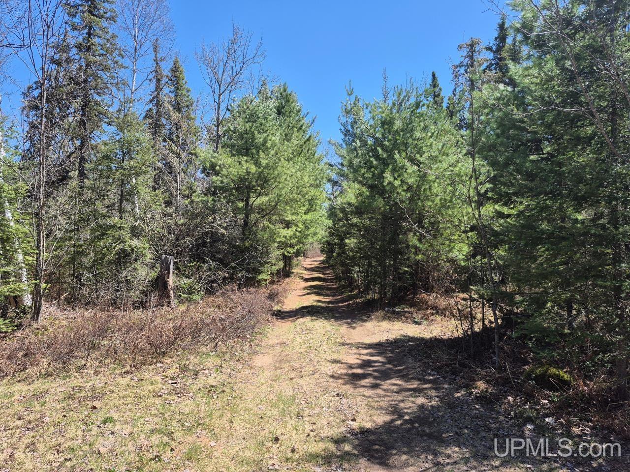 13551 County Road CS Road Ishpeming, MI 49849 - Photo 26 of 40