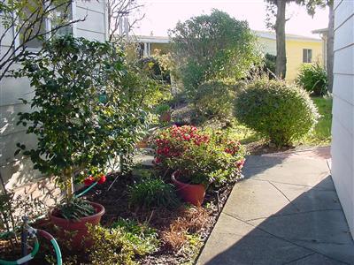 1945 Piner Road, Unit 128 Santa Rosa, CA 95403 - Photo 3 of 10 a view of a garden with pathway