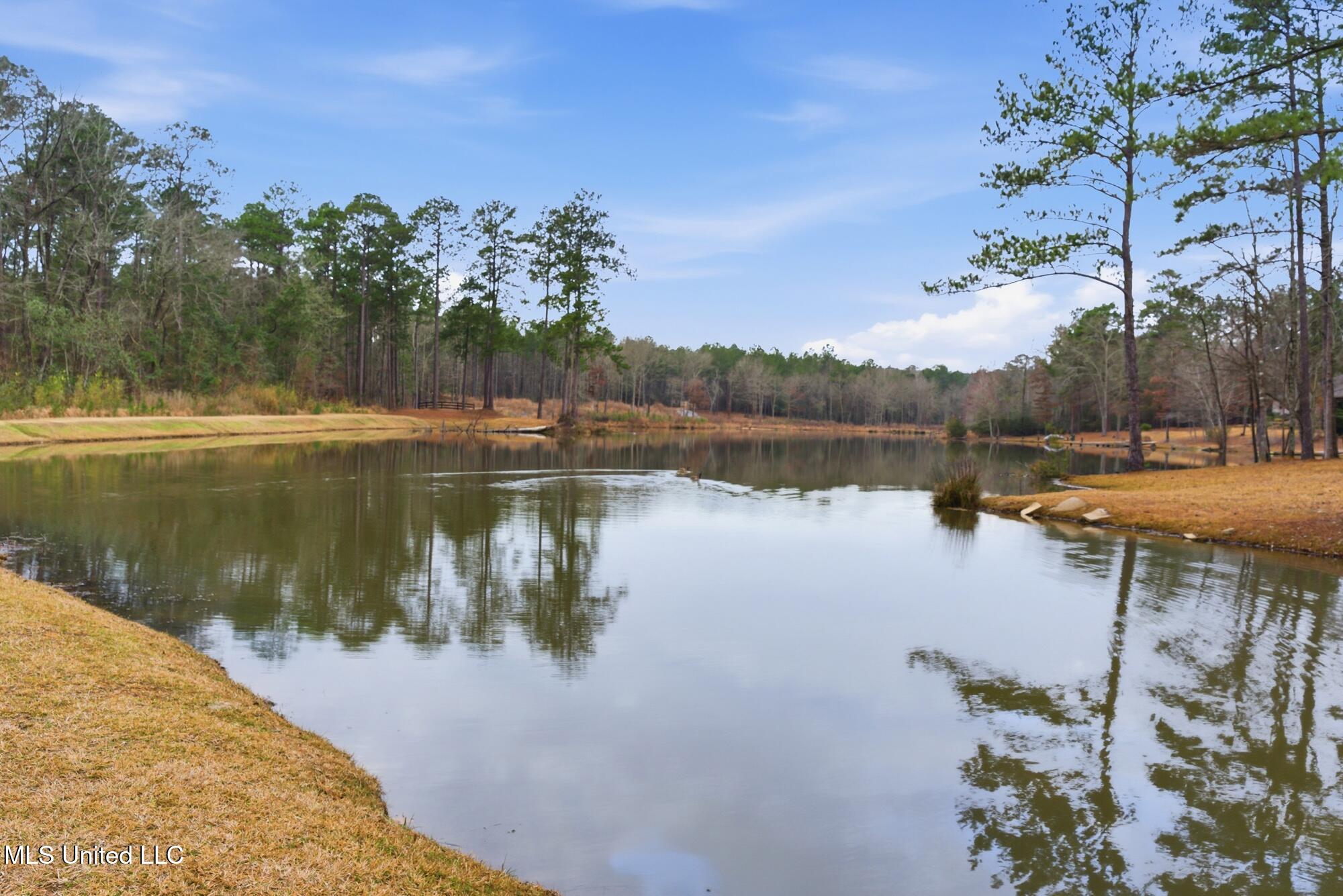 18 East Yellowstone Road Hattiesburg, MS 39402 - Photo 56 of 61 58_dsc07451