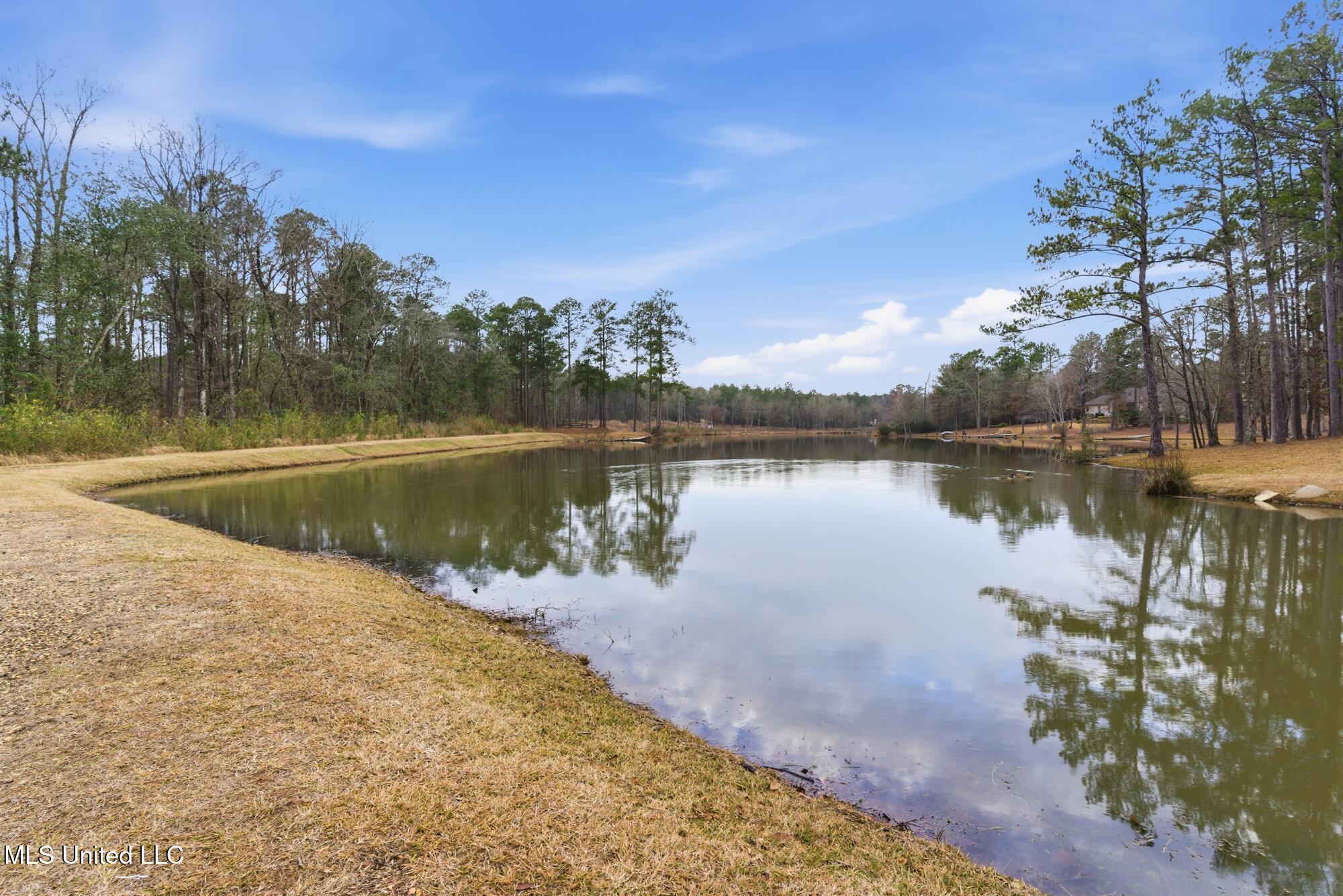 18 East Yellowstone Road Hattiesburg, MS 39402 - Photo 57 of 61 59_dsc07454