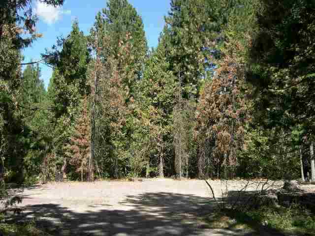 7112 North Old Stage Road Weed, CA 96094 - Photo 1 of 1 Gallery Image 1