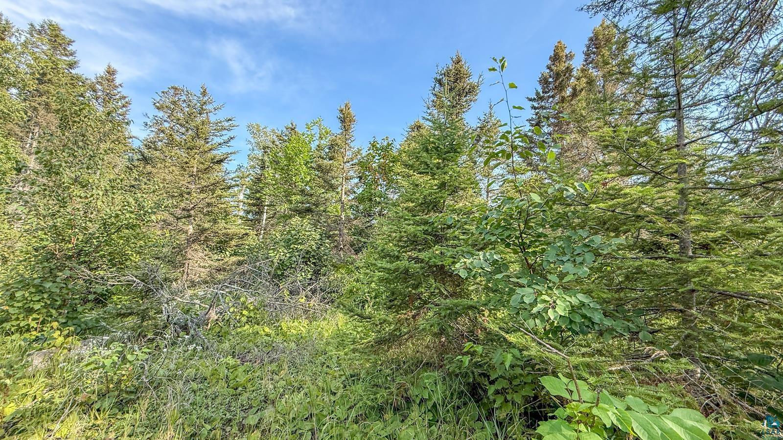 Xxx1 Mink Ranch Road Lutsen, MN 55612 - Photo 11 of 19 Gallery Image 11