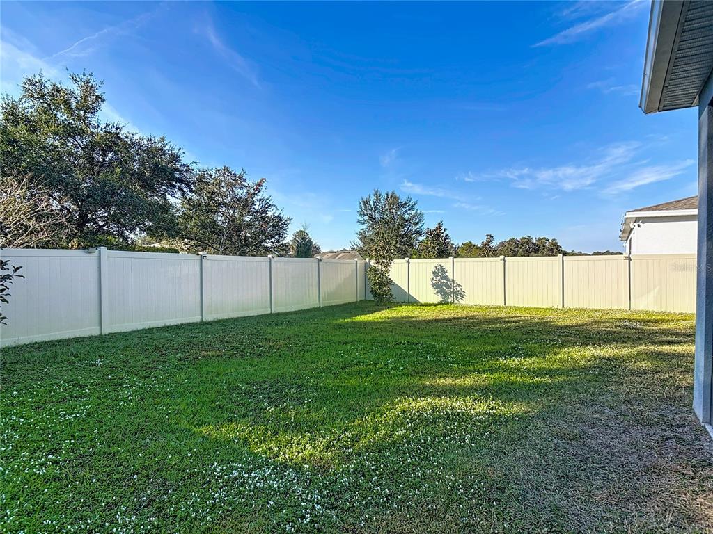 5704 Bristleleaf Court Leesburg, FL 34748 - Photo 32 of 41 a view of a yard
