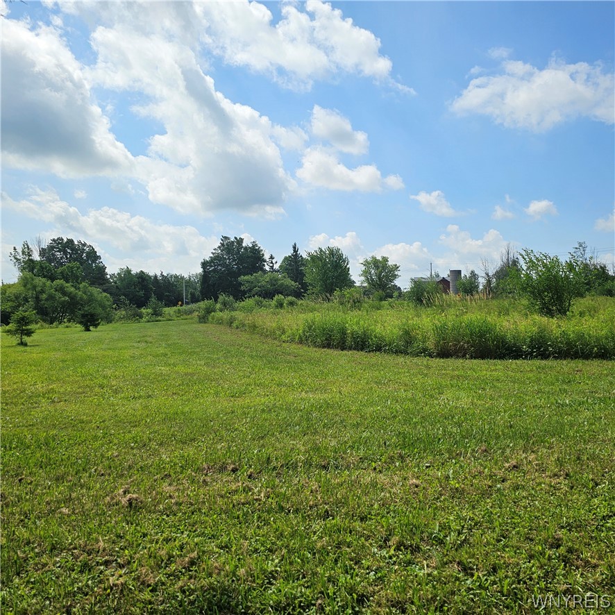 10248 Clarksburg Road North Collins, NY 14057 - Photo 21 of 35
