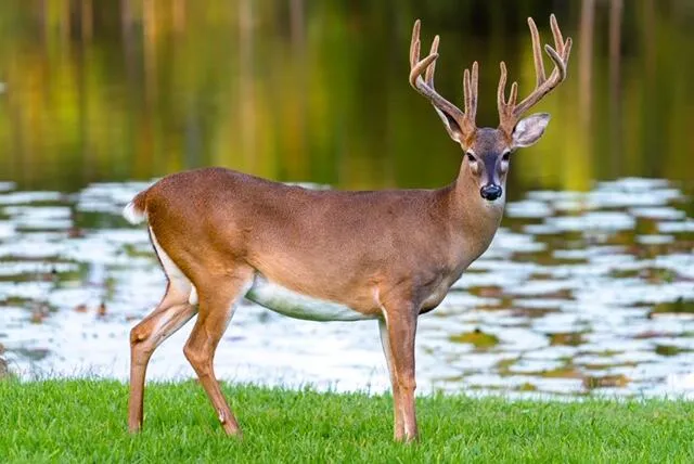 a view of an ocean beach
