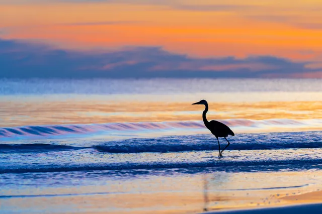 an aerial view of house and outdoor space
