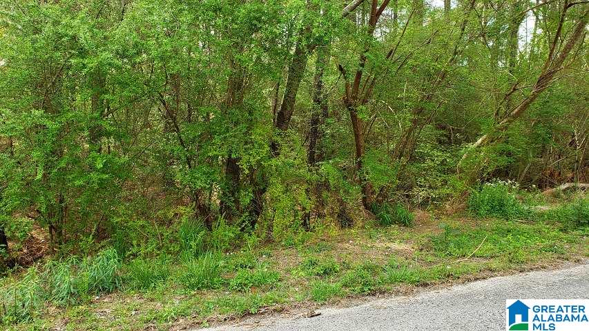0 Hayden Springs Road, Unit 5 Hayden, AL 35079 - Photo 1 of 2
