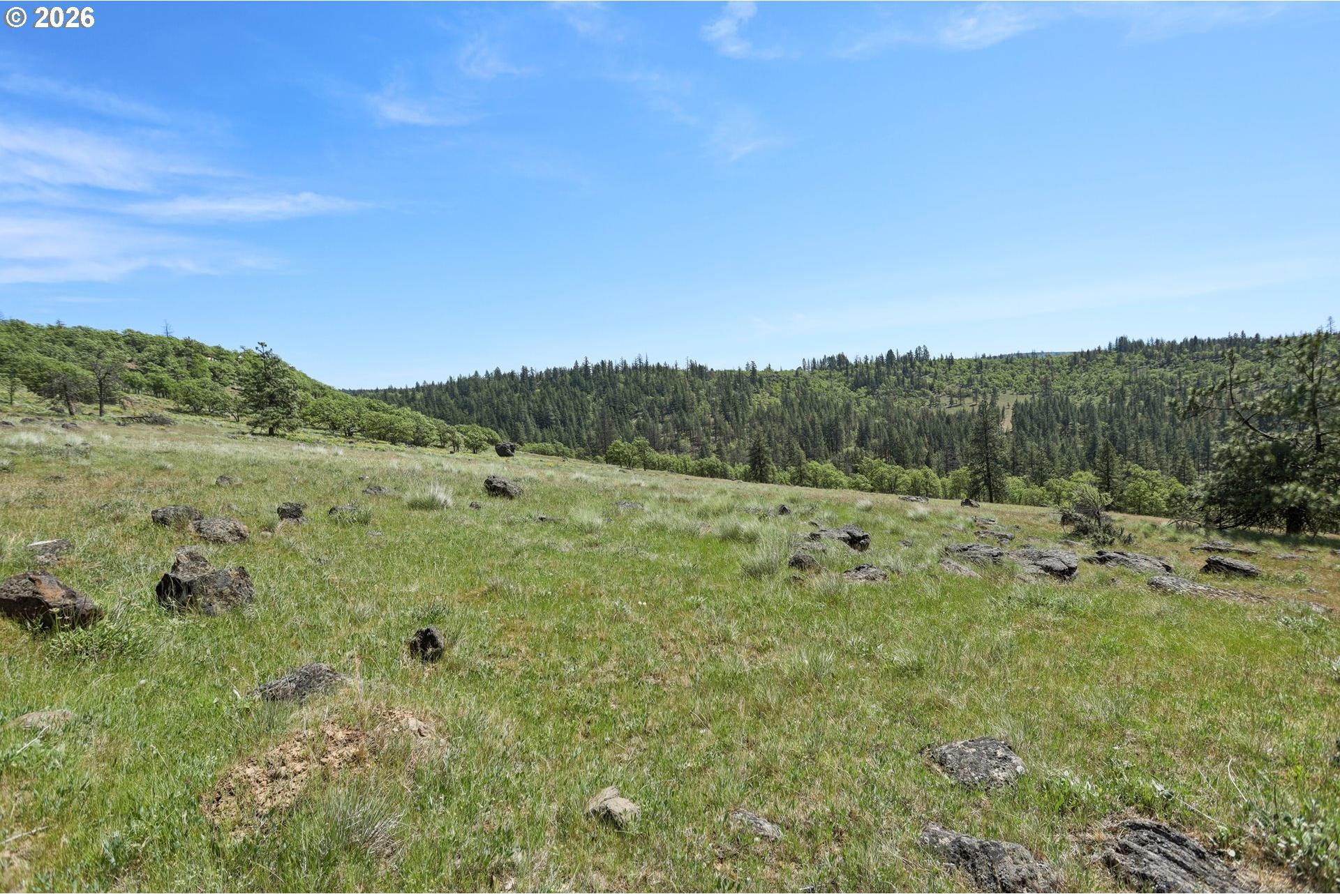 0 Thompson Trail Goldendale, WA 98620 - Photo 12 of 40 Gallery Image 12