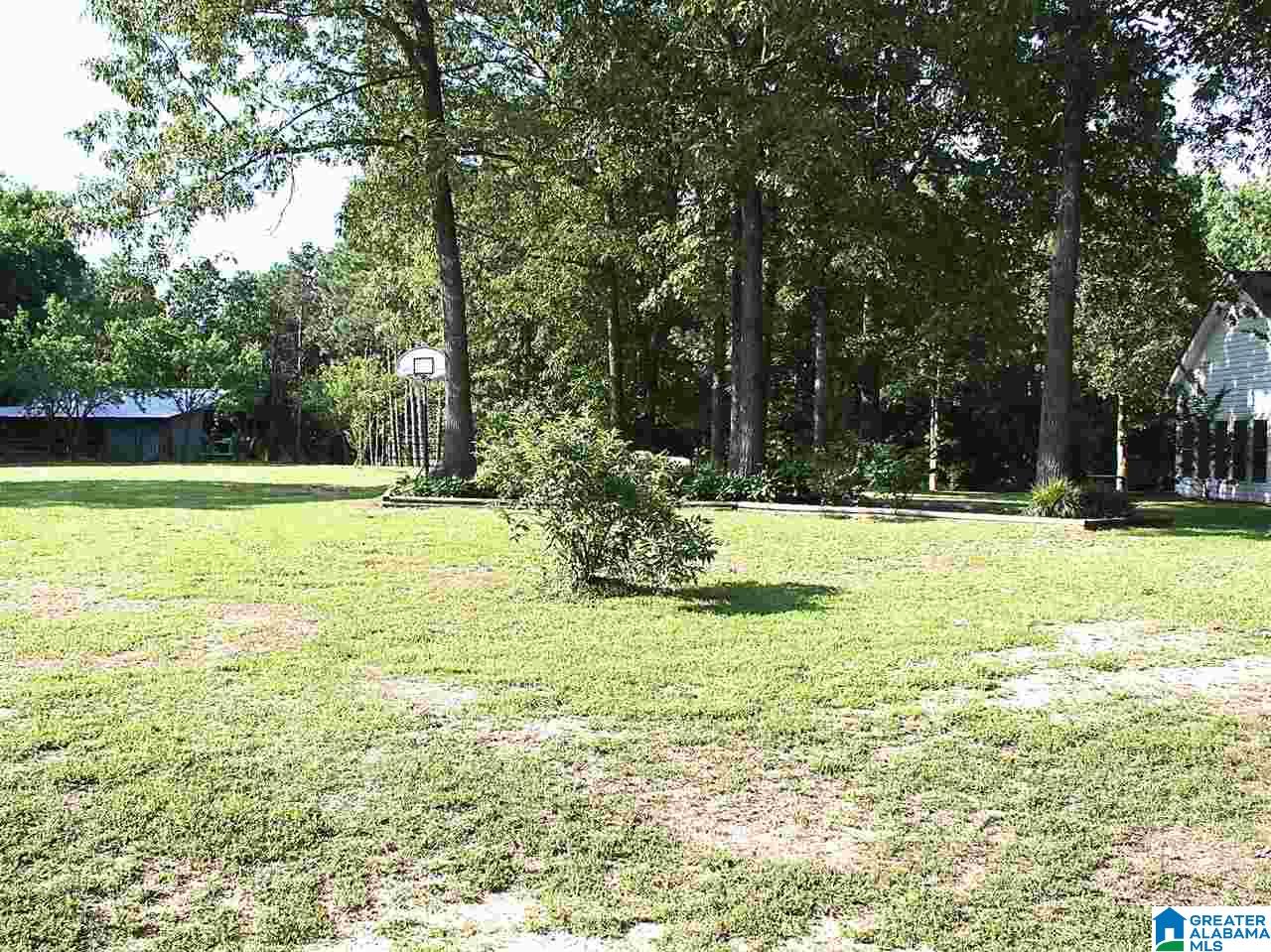 919 Gip Yates Road Blountsville, AL 35031 - Photo 41 of 49