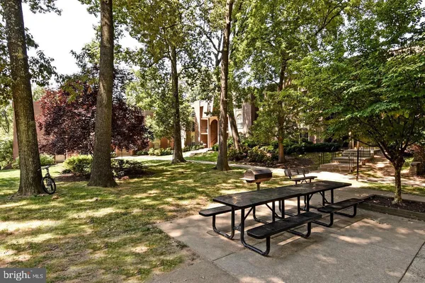 a view of a yard with furniture and tree