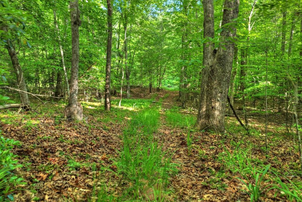 8.52 Ac Mcnelley Road Morganton, GA 30560 - Photo 28 of 47