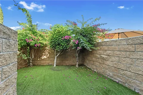 a view of a backyard with plants