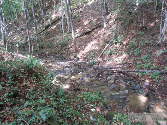 223 Burl Brown Road Vilas, NC 28692 - Photo 12 of 46 Gallery Image 12