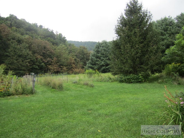 223 Burl Brown Road Vilas, NC 28692 - Photo 37 of 46 Gallery Image 37