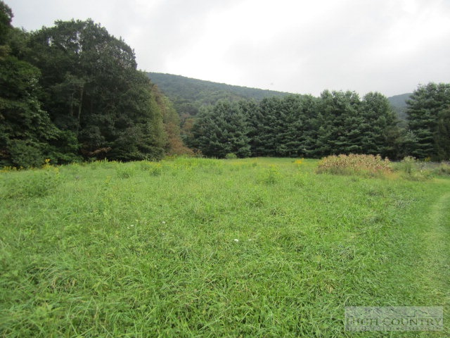 223 Burl Brown Road Vilas, NC 28692 - Photo 46 of 46 Gallery Image 46