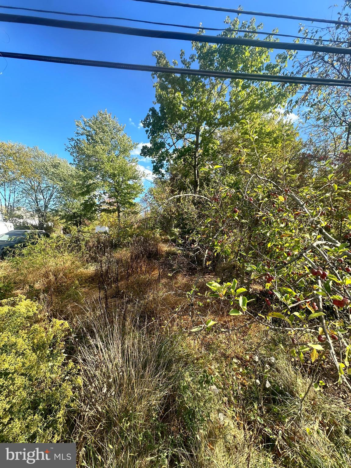 11 Pershing Avenue Eagleville, PA 19403 - Photo 2 of 3 a view of a yard