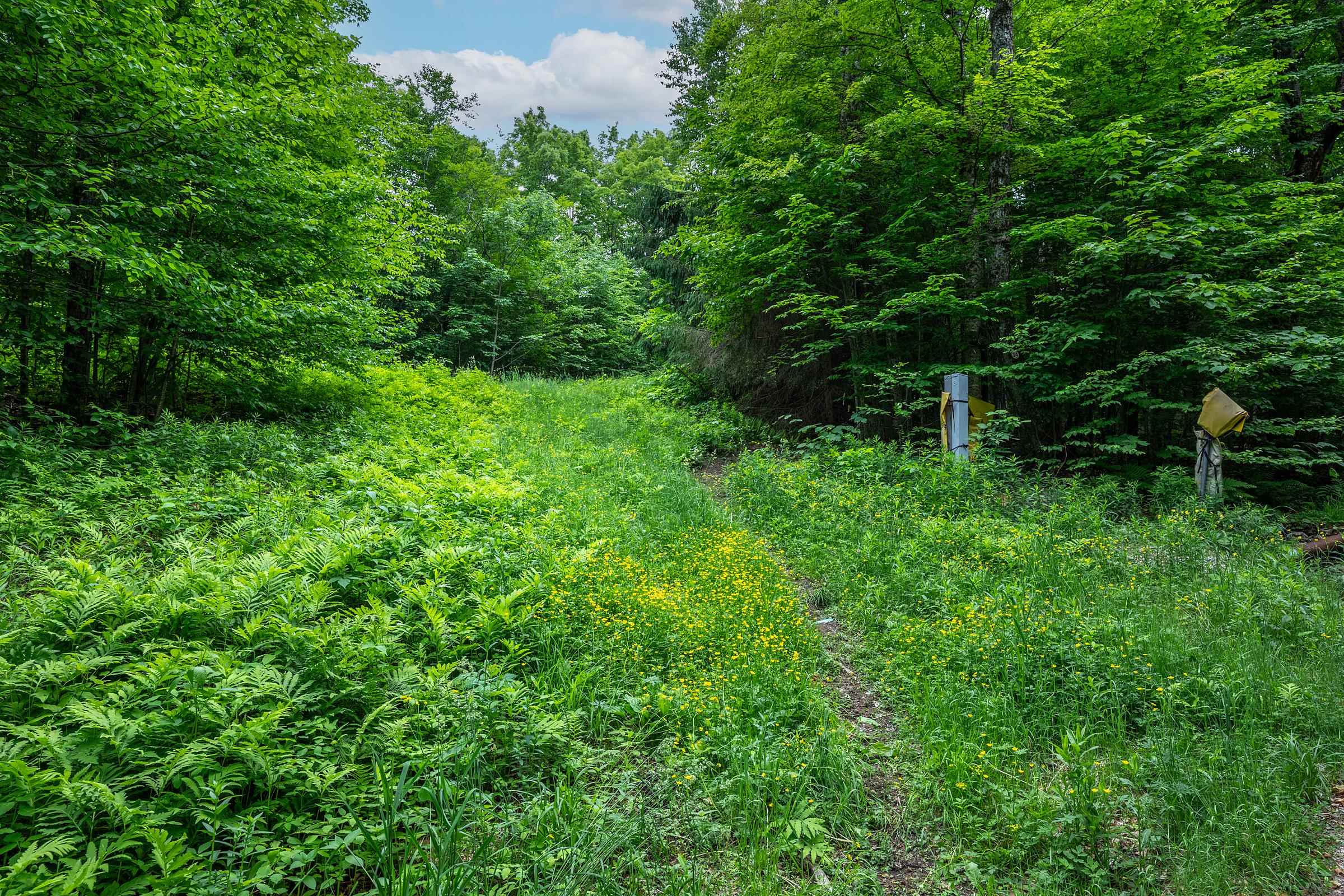24 Sawmill Road Stratton, VT 05155 - Photo 3 of 52
