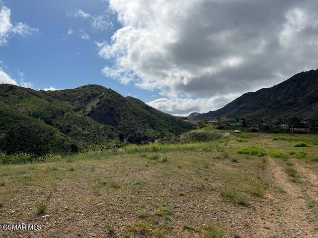 29266 Wagon Road Agoura Hills, CA 91301 - Photo 14 of 18 a view of a field with a tree in the background