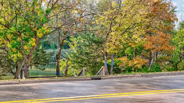 a view of a yard with plants