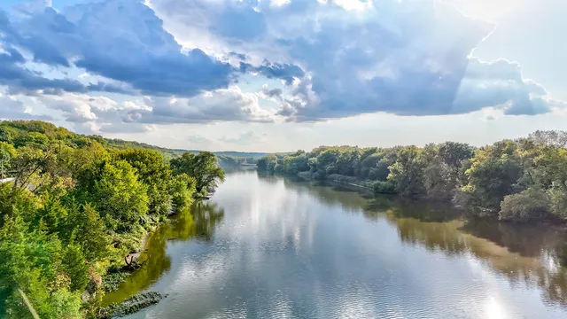 a view of backyard with a garden and plants