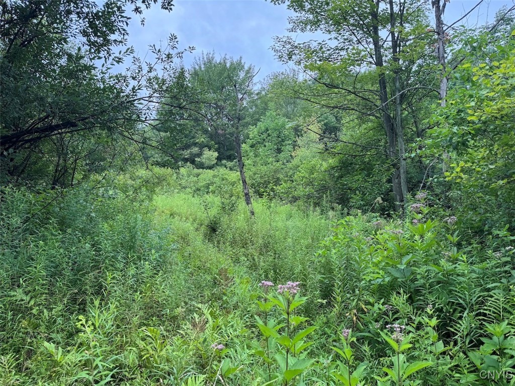 10750 Chapple Stoughton Road Napoli, NY 14772 - Photo 1 of 23